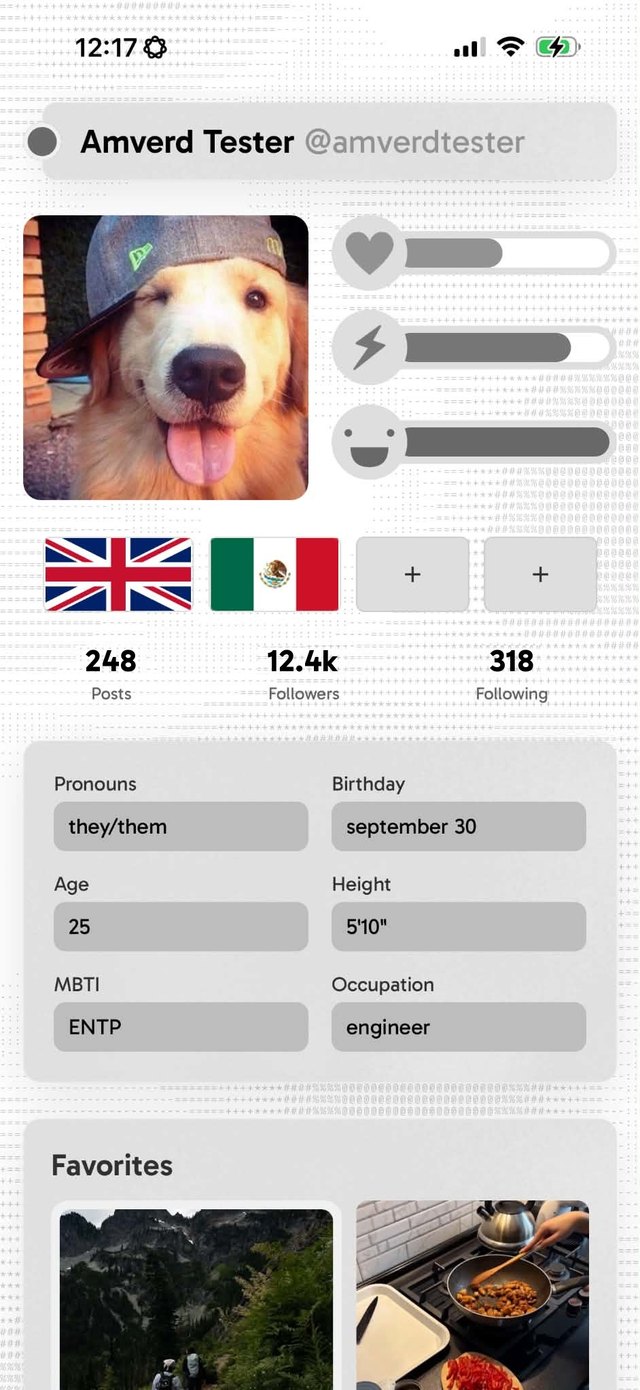 The About tab: name, photo, health, energy and mood gauges, flags, counts and bio